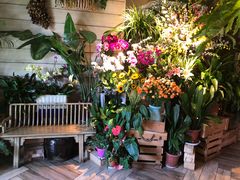 -春暖花开(西溪店)