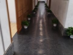 -子曰书院·古筝围棋书法国画小主持(夏都店)
