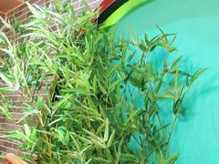 -伽利略剧本探案馆(国贸店)