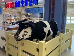 -红星前进面包牛奶公司(君太店)