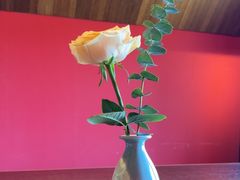 -鮨匠·割烹料理(巨鹿花园店)