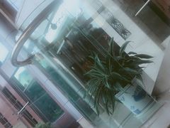 -上海青松城大酒店