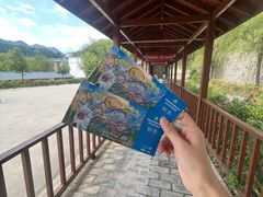 -王顺山国家森林公园