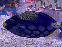 -常州海昌海洋探索馆