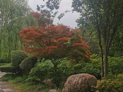 -洛阳市隋唐城遗址植物园