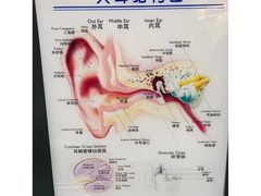 -海之声助听器无锡旗舰中心·儿童验配中心