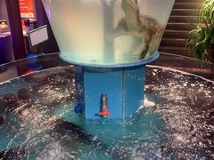 大堂-魏铭鱼头捞饭(晋阳路店)