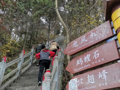 -塔云山