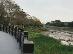 -海珠湖公园