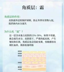 点击看大图 -玛莲朵·海菲秀冰珀科