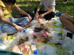 -昆山城市生态森林公园