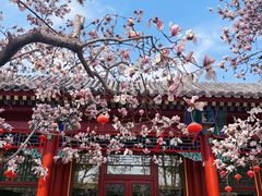 -颐和宾馆-玉露中餐厅