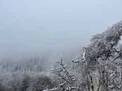 -海螺沟风景区