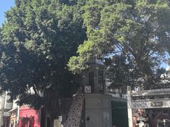 -八婆婆烧仙草(中山路店)