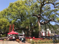 -新安江山水画廊风景区