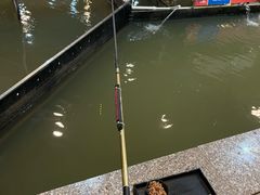 -粮心小农·大头虾亲子生态园(长发店)