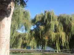 -山东大学(兴隆山校区)