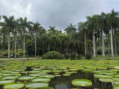 -中国科学院西双版纳热带植物园