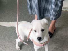 -安安宠医·安宠宠物医院