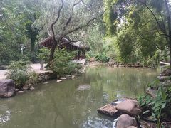 -广州市石门国家森林公园