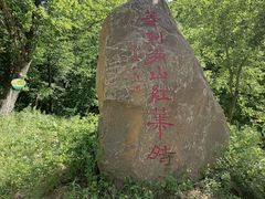 -参仙谷生态旅游度假区