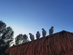 -九城宫草原漫瀚文化旅游区