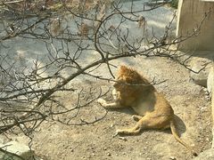 -大连森林动物园