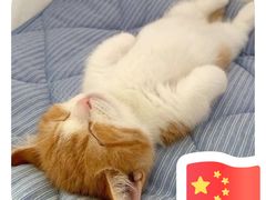 -益源庆