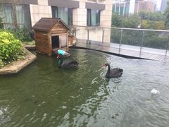 -南京圣和府邸豪华精选酒店