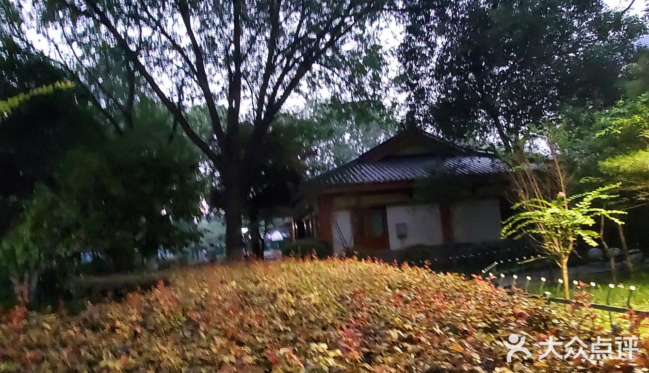 这里晚上出来溜，空气好清新呦！