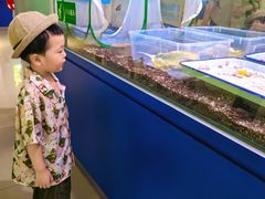 -上海昆虫博物馆