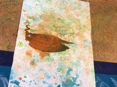 -金宝贝早教(南山花园城店)