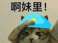 -HONGA HONGA雄家(曹路店)