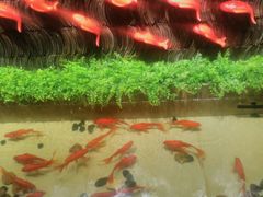 -辣不二地道川菜(汉水路店)