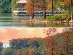 -海珠湖公园
