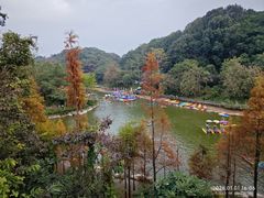 -广州市帽峰山景区