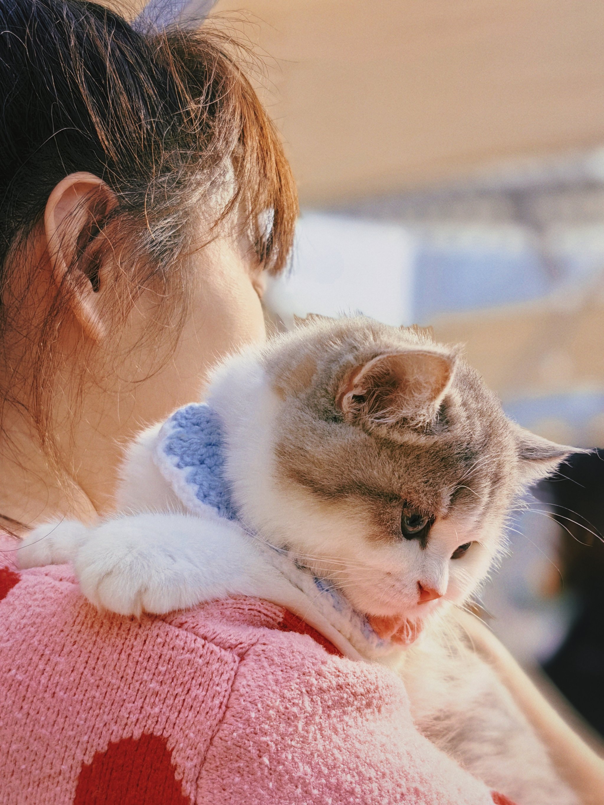 遛猫遛狗顺便溜溜自己‼️