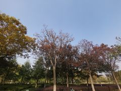 -白塘生态植物园