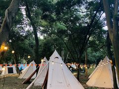 -南宁良凤江国家森林公园