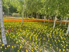 -长春公园(普阳街道)