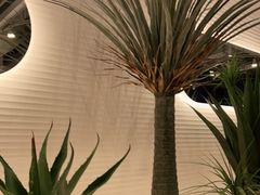 -兰湘子·湘菜小炒(崂山丽达店)