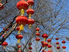 -丰台花园