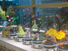-丁里羊肉小镇(太宁路口店)