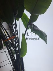 -春田皮肤管理中心品牌旗舰店