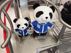 -熊猫屋(宽窄巷子景区店)