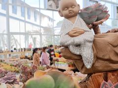 -三圣花乡旅游区