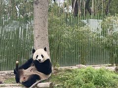 -武汉动物园