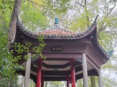 -岳麓山风景名胜区