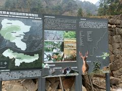 -浙西天池景区