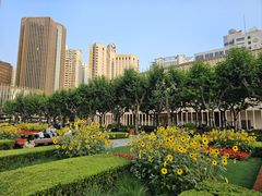-徐家汇天主堂